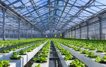 喜报！山东省设施园艺智慧农业装备重点实验室获批